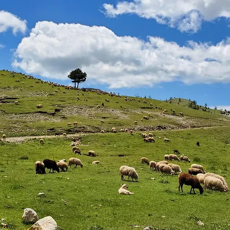 Shtepia E Bardhe