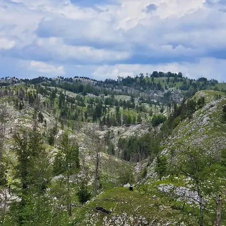 Shtepia E Bardhe Campingplads *